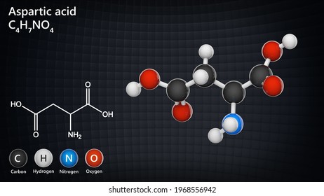 Aspartic Acid Symbol Asp D Amino Stock Illustration 1968556942 ...