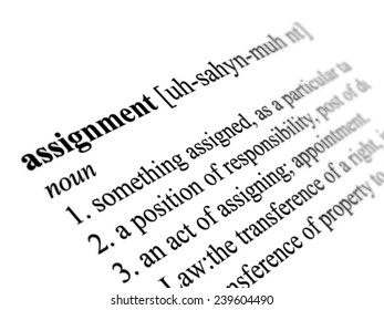 dictionary meaning of assignment