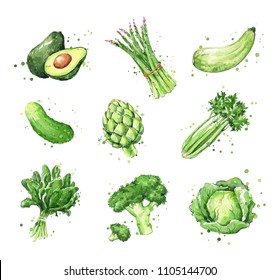 Assortment Of Green Foods, Watercolor Vegtables Illustration