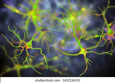 Astrocytes, brain glial cells, 3D illustration. Astrocytes, also known as astroglia, connect neuronal cells to blood vessels
