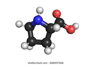 Asymmetric Organocatalysis L-Proline Amino Acid Molecule 3D Structure The Nobel Prize In Chemistry 2021