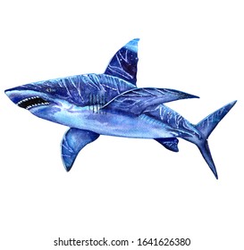 サメ 口 のイラスト素材 画像 ベクター画像 Shutterstock