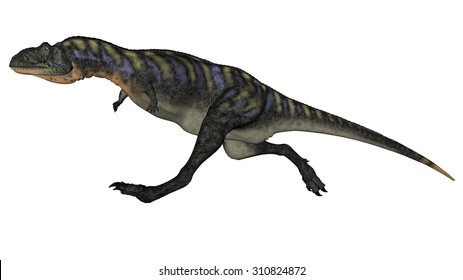 Aucasaurus High Res Stock Images Shutterstock