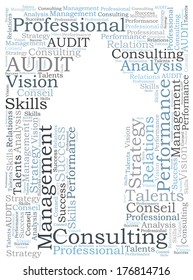 AUDIT consulting word cloud
