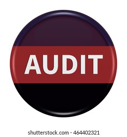 Audit icon. Internet button.3d illustration.
