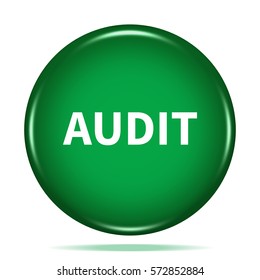 Audit icon. Internet button.3d illustration.