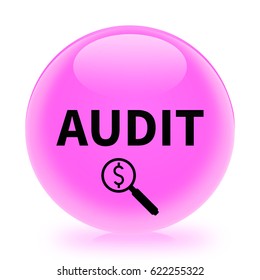 Audit icon. Internet button.3d illustration.