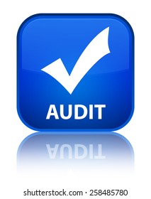 Audit (validate icon) blue square button
