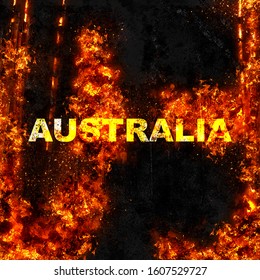 Australia Fire Forest And Animals Life