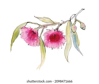 Dibujo floral Australia 