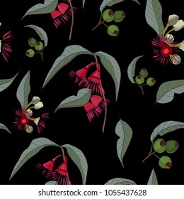 Australia Gum Nut And Red Flowers Seamless Pattern On Black Background