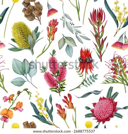Australia native flora elements seamless pattern. Hand drawn waratah flower, banksia, golden wattle, eucalyptus leaves watercolor illustrations. Australian flowers elements on white background