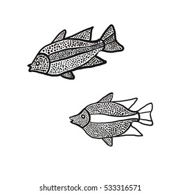 how to draw a rainbow fish