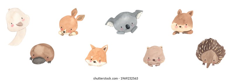 Australian Animals Faces. Koala, Kangaroo, Dingo Dog, Wombat And Other. Watercolor Illustration For Kids