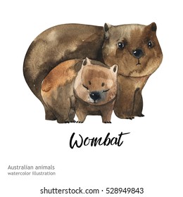 Australian Animals Watercolor Illustration Hand Drawn Wildlife Isolated On A White Background. Wombat. Australia Day
 