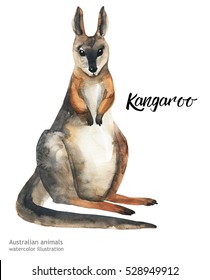 Australian Animals Watercolor Illustration Hand Drawn Wildlife Isolated On A White Background.
 Kangaroo. Australia Day