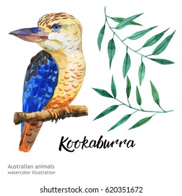 Australian animals watercolor illustration hand drawn wildlife isolated on a white background.  