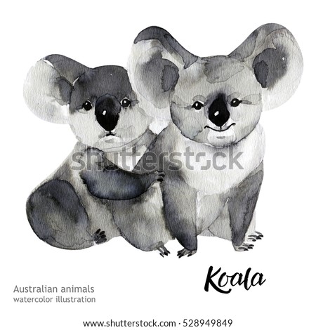Australian animals watercolor illustration hand drawn wildlife isolated on a white background.  Koala.
 