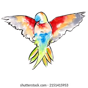 Australian Birds Watercolor Sketch Isolated On Stock Illustration ...