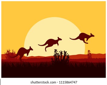  Australian Desert. Silhouette Of Jumping Kangaroos. Sunset.