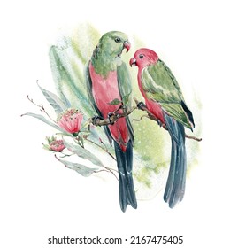 Australian King Parrots Watercolor Illustration. Perfect For Cards, Posters, Stickers, Prints.