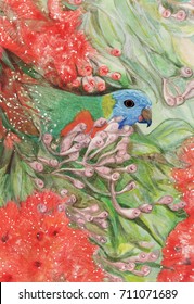 Australian Parrot And Flowering Gum. Single Rainbow Lorikeet Partly Hidden By Leaves And Flowers.Watercolour And Pencil Drawing. Blue, Red, Green. 