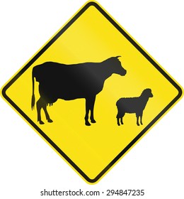 Australian road warning sign - Domestic animal crossing