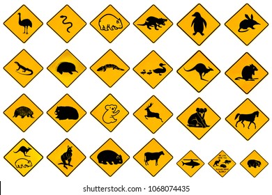 Australian Warning Signs For Wildlife Animals: Emu, Echidna, Tasmanian Devil, Wombat, Kangaroo, Penguin, Shark, Ducks Snake Rat Deer Reptiles And Vehicles. Isolated On White And Copy Space.