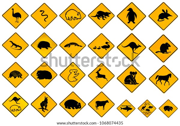 Australian Warning Signs Wildlife Animals Emu Stock Illustration 1068074435