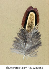 Authentic, Original Painting - Feather Of Pheasant