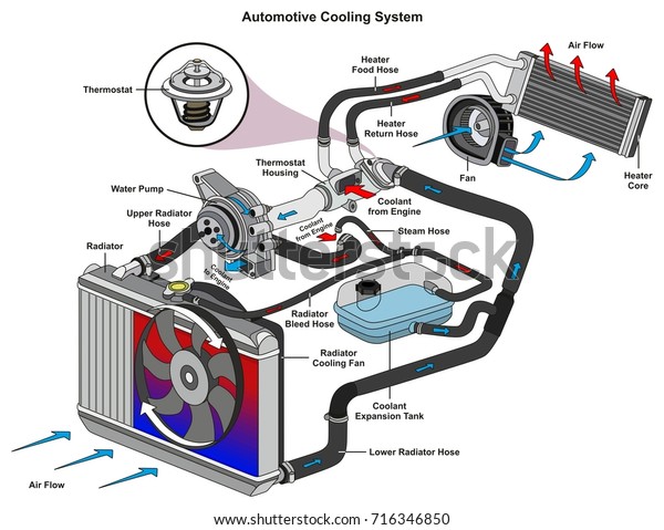 自動車冷却システムのインフォグラフィック図では プロセスと ラジエーターに含まれるすべての部品が冷却液フローサーモスタットファンタンクと機械交通安全科学教育用のエアフローを示しています のイラスト素材