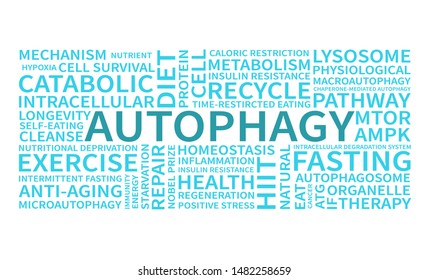 Autophagy Word Cloud On White Background