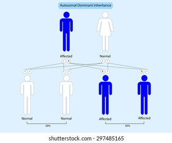 Autosomal Dominant Inheritance