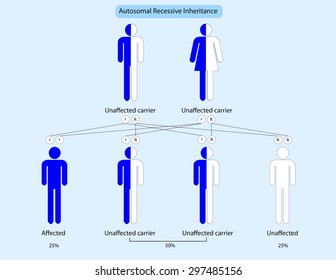 Autosomal Recessive Inheritance