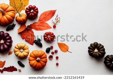 Similar – Autumn still life with pumpkin and leaves