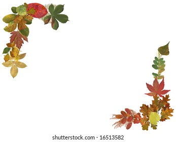 Autumn border