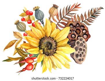 Autumn bouquet with a sunflower, lotus seeds, poppy seeds, dogrose berries, and dry leaves. greeting card. Watercolor hand drawn painting illustration isolated on white background.