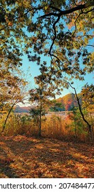 Autumn Colors, Southern Maryland, Illustration 