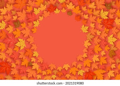 Autumn concept. Dry maple leaves lie on a red background. Flat lay, copy space. Place for text. Coupon banner background. Elegant Autumn Voucher Design. Gift promotion - Powered by Shutterstock