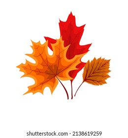 Autumn Falling Leaves Icon Isolated On White Background.  Illustration 