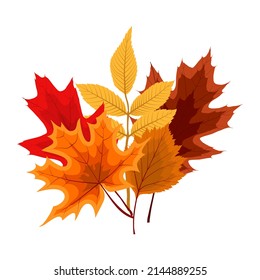 Autumn Falling Leaves Icon Isolated On White Background.  Illustration 