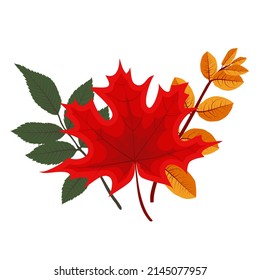 Autumn Falling Leaves Icon Isolated On White Background.