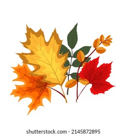 Autumn Falling Leaves Icon Isolated On White Background.  Illustration 