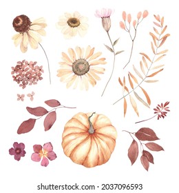 Autumn Floral Set With Pressed Flowers Daisy, Leaves And Pumpkin, Watercolor Isolated Collection In Vintage Style, Burgundy And Delicate Yellow Colors, Autumn Decors For Invitation Or Greeting Cards.