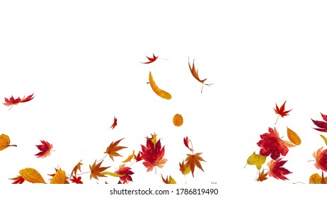 Autumn Flying Leaves Leaf 3d Illustration Stock Illustration 1786819490 ...