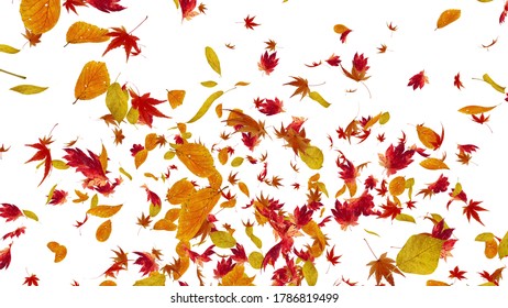 Autumn Flying Leaves Leaf 3D Illustration Background.