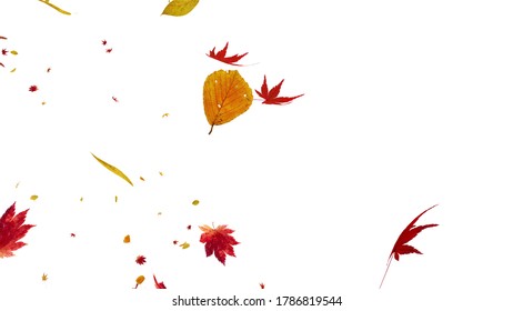 Autumn Flying Leaves Leaf 3D Illustration Background.