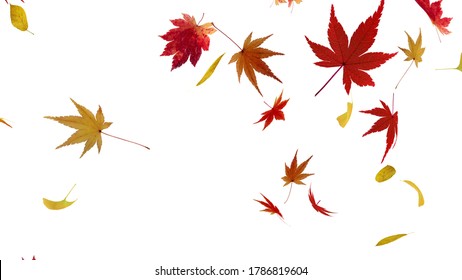 Autumn Flying Leaves Leaf 3D Illustration Background.