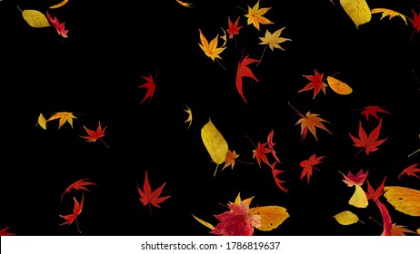 Autumn Flying Leaves Leaf 3D Illustration Background.