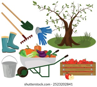 autumn harvest fruit vegetables illustration flat - Powered by Shutterstock